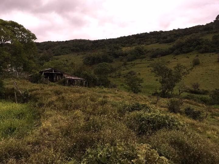 Small farm of 13 acres in Santo Antônio da Patrulha, RS, Brazil