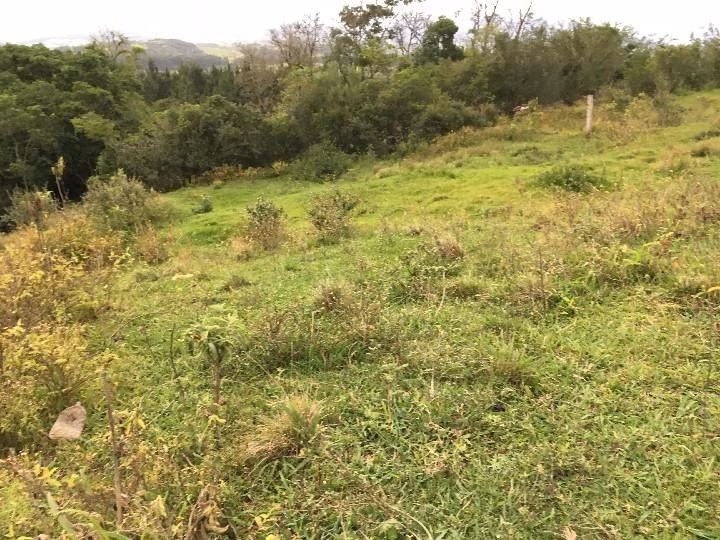 Sítio de 5 ha em Santo Antônio da Patrulha, RS