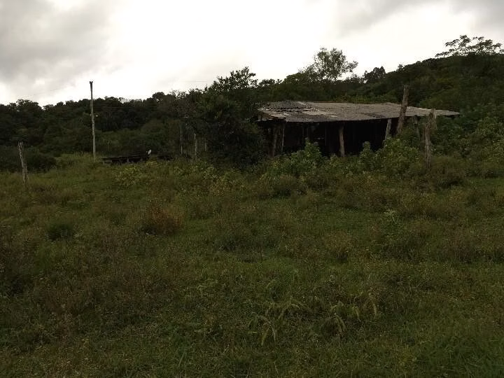 Small farm of 13 acres in Santo Antônio da Patrulha, RS, Brazil