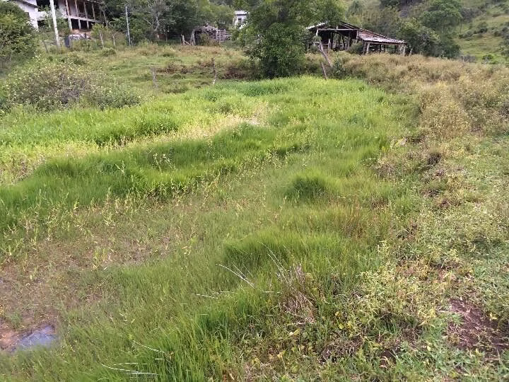 Small farm of 13 acres in Santo Antônio da Patrulha, RS, Brazil