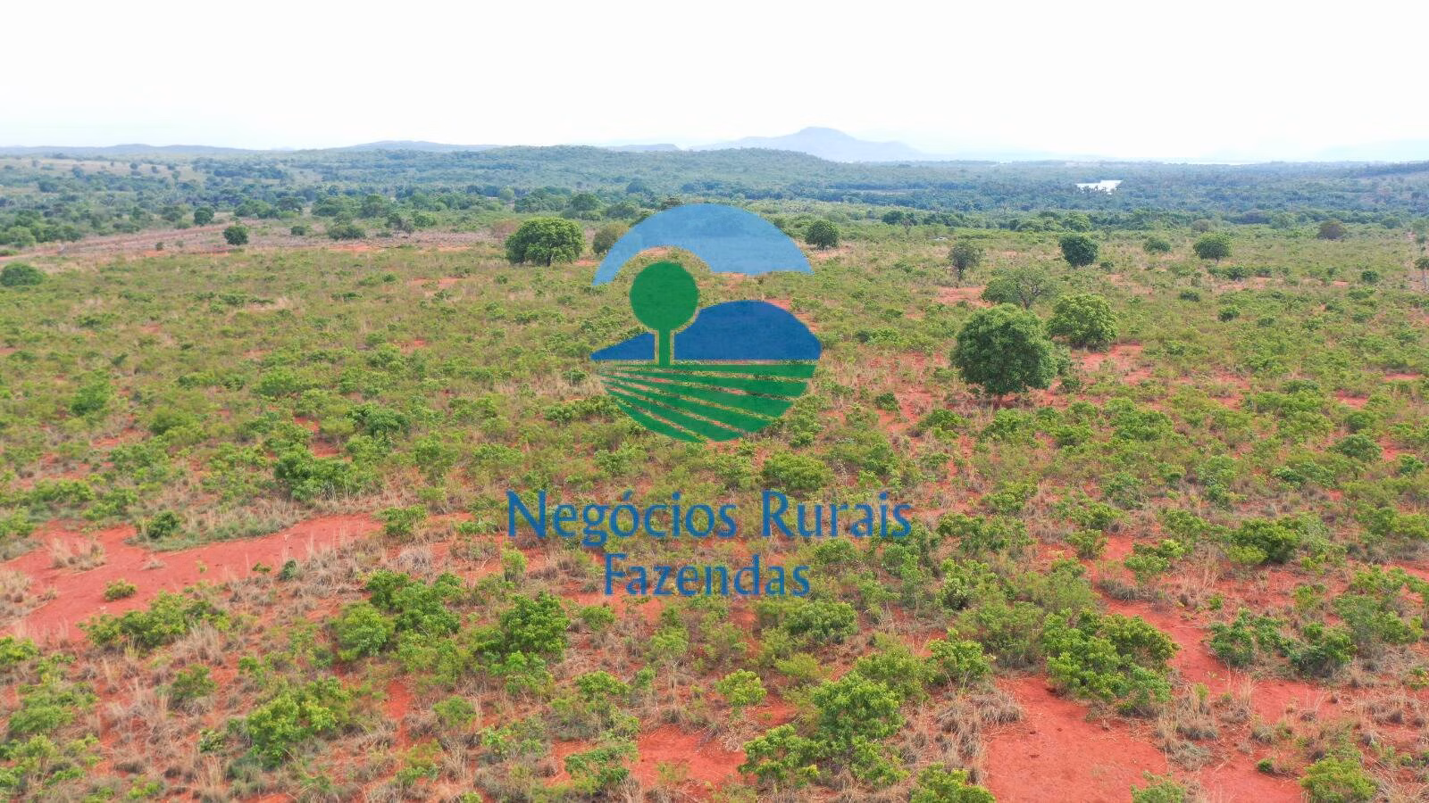 Fazenda de 290 ha em Palmeirópolis, TO