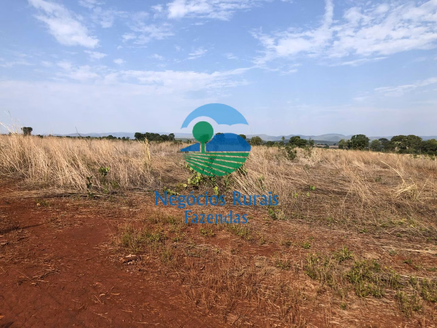 Fazenda de 290 ha em Palmeirópolis, TO