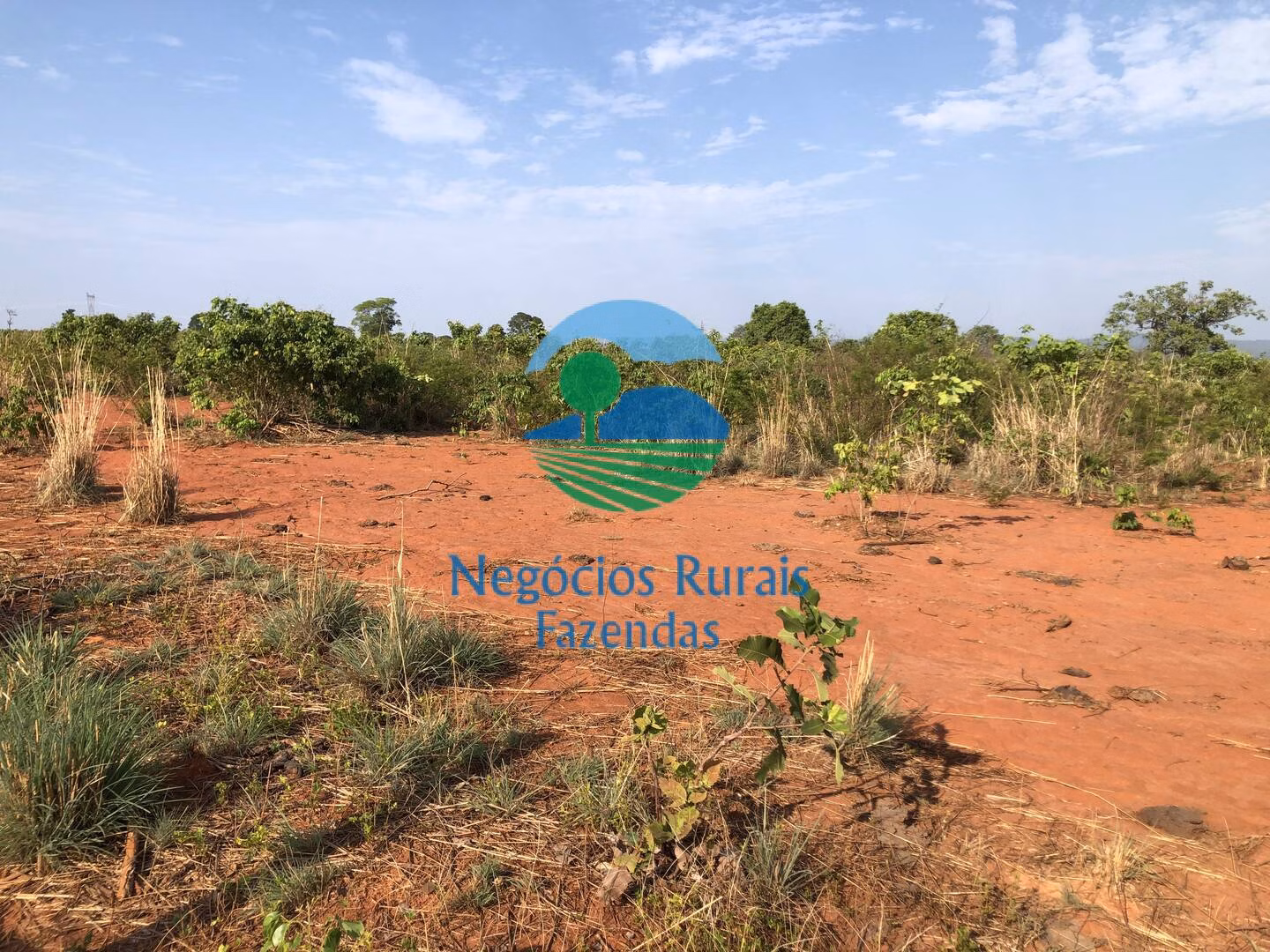 Fazenda de 290 ha em Palmeirópolis, TO