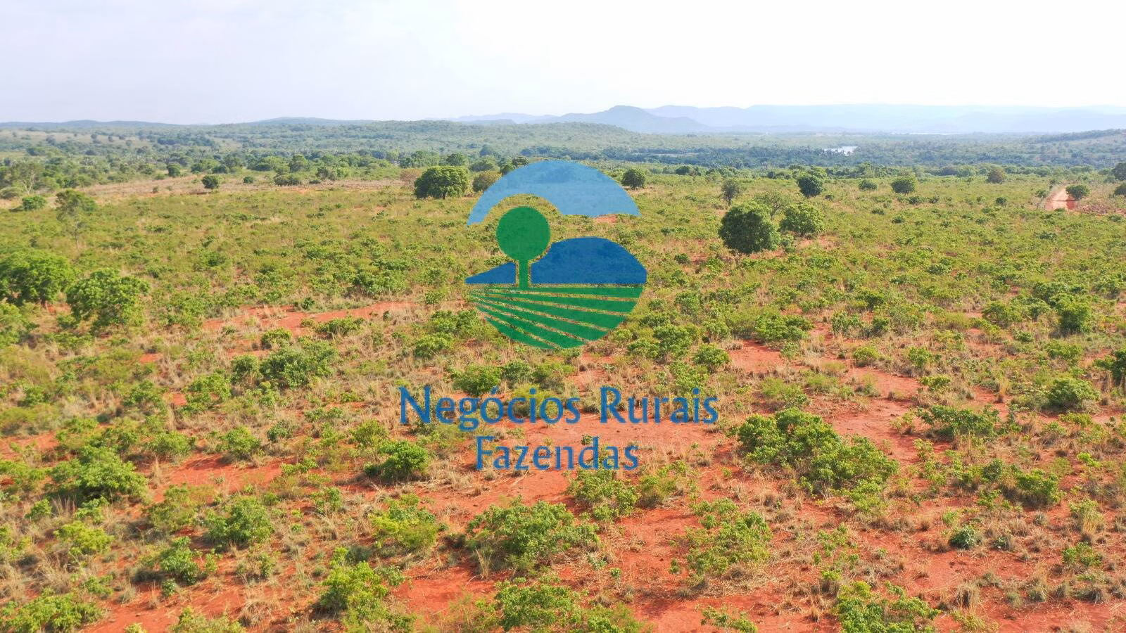Fazenda de 290 ha em Palmeirópolis, TO