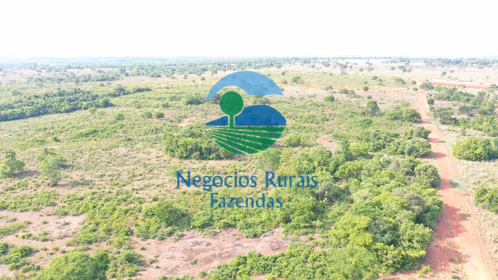 Fazenda de 290 ha em Palmeirópolis, TO