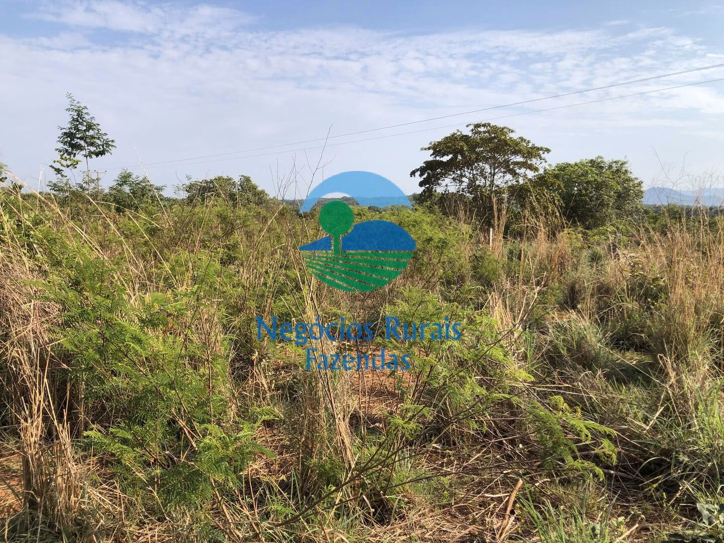 Fazenda de 290 ha em Palmeirópolis, TO