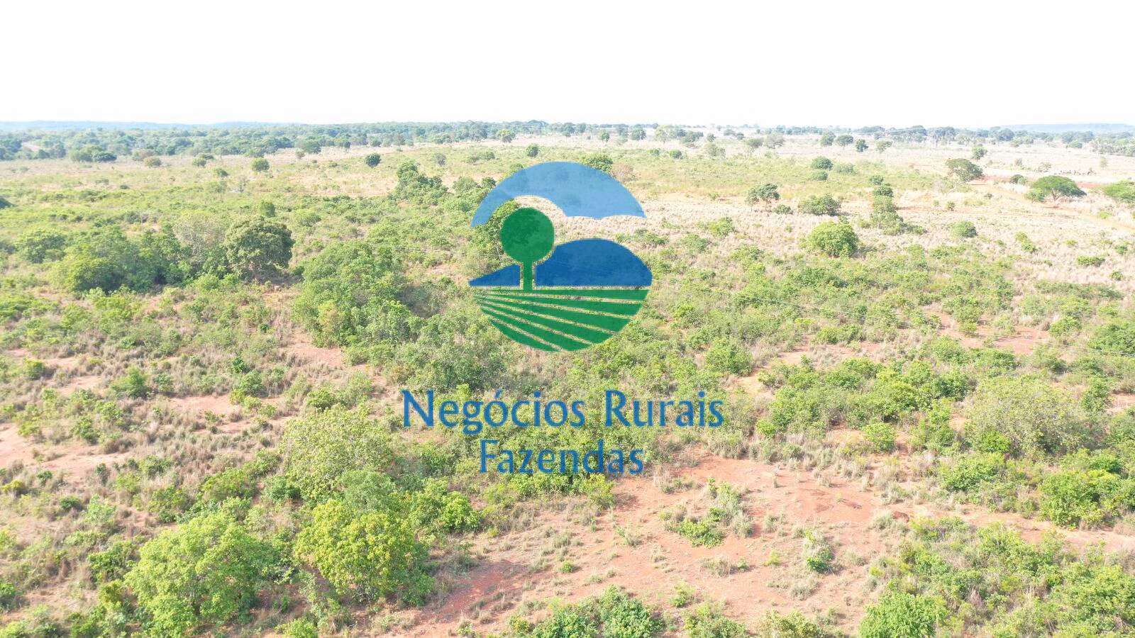 Fazenda de 290 ha em Palmeirópolis, TO