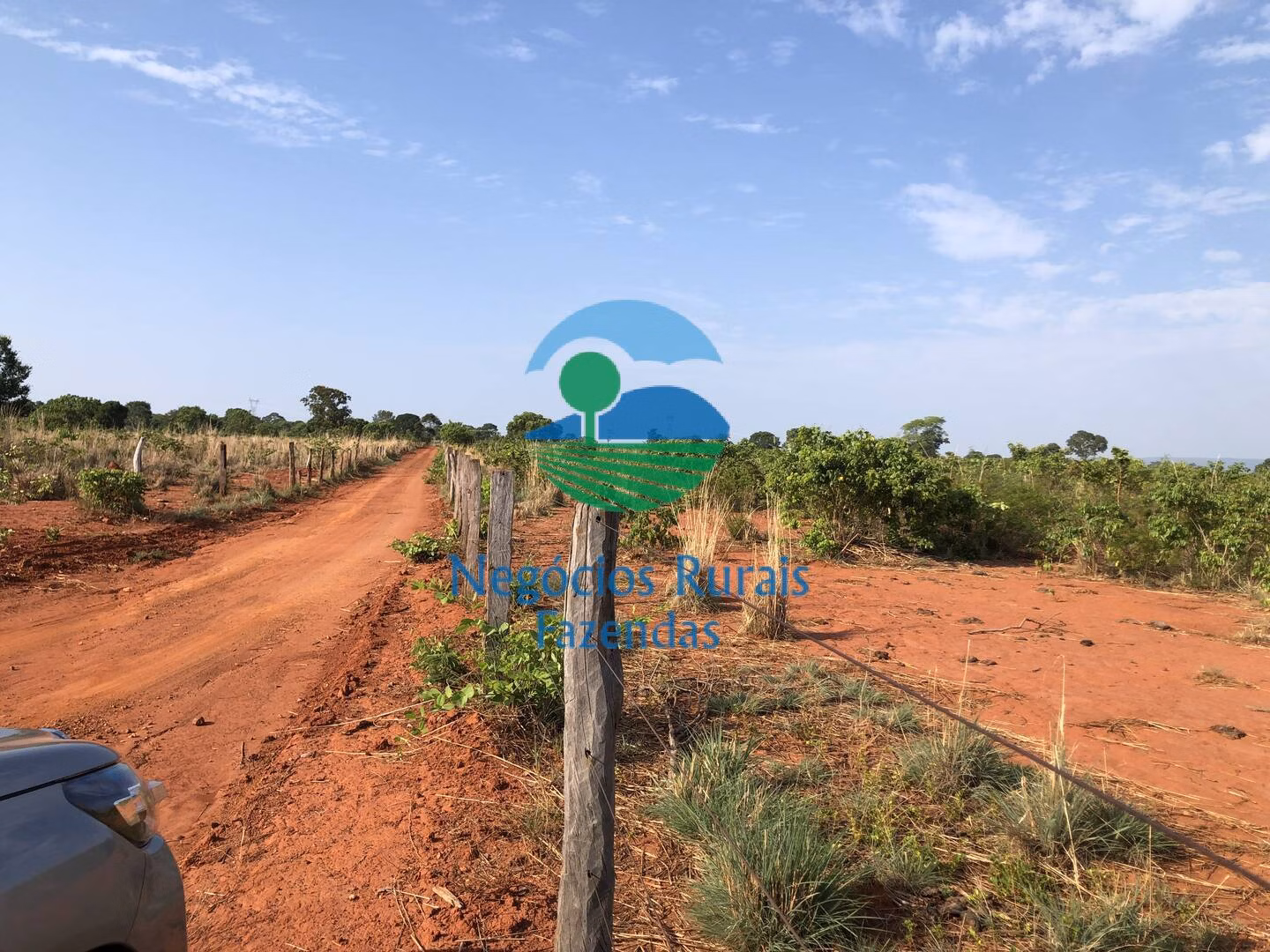 Fazenda de 290 ha em Palmeirópolis, TO