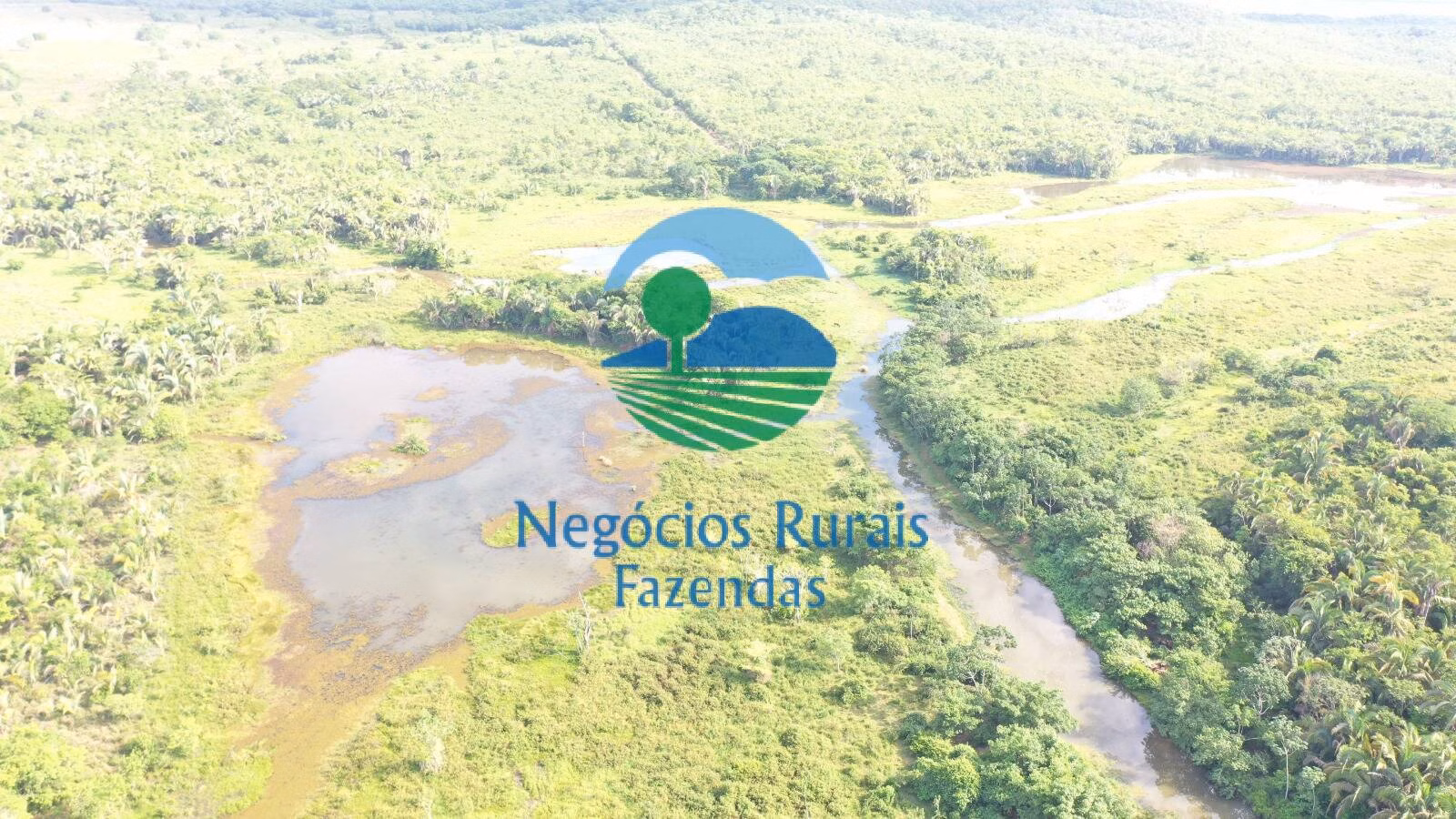 Fazenda de 290 ha em Palmeirópolis, TO