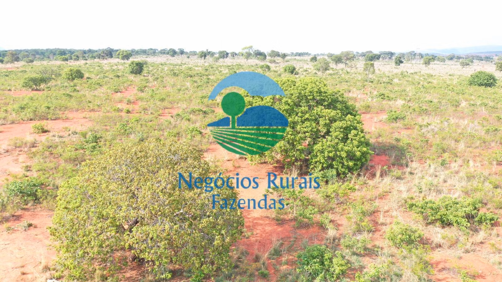 Fazenda de 290 ha em Palmeirópolis, TO