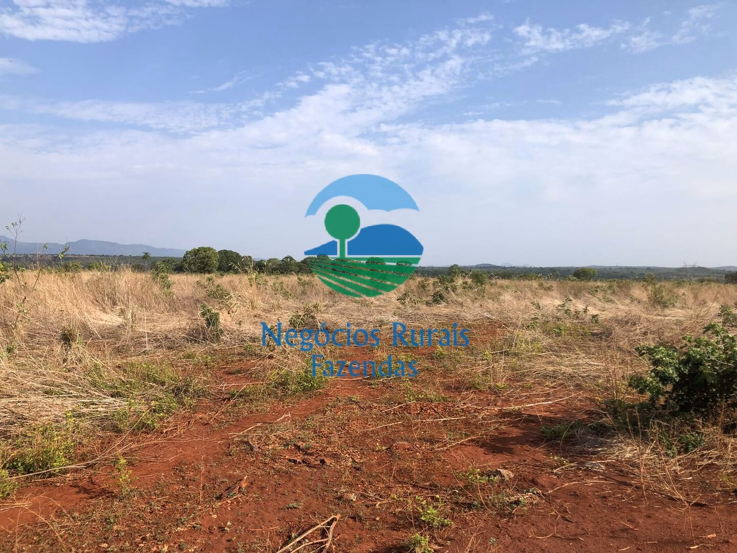 Fazenda de 290 ha em Palmeirópolis, TO