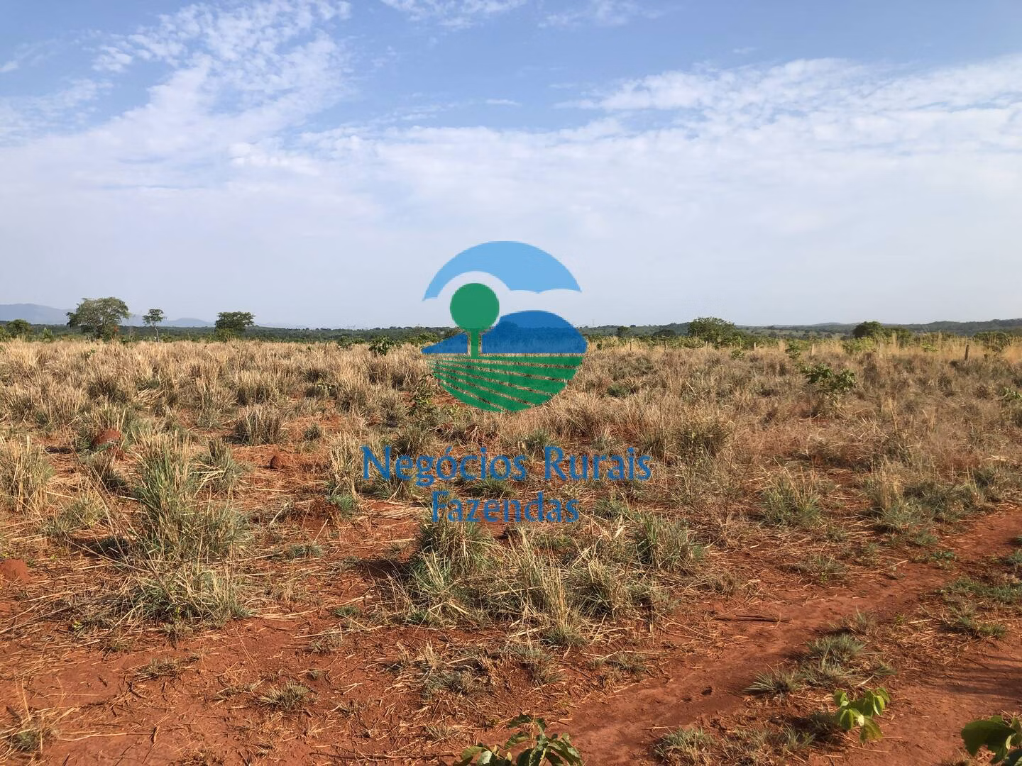Fazenda de 290 ha em Palmeirópolis, TO