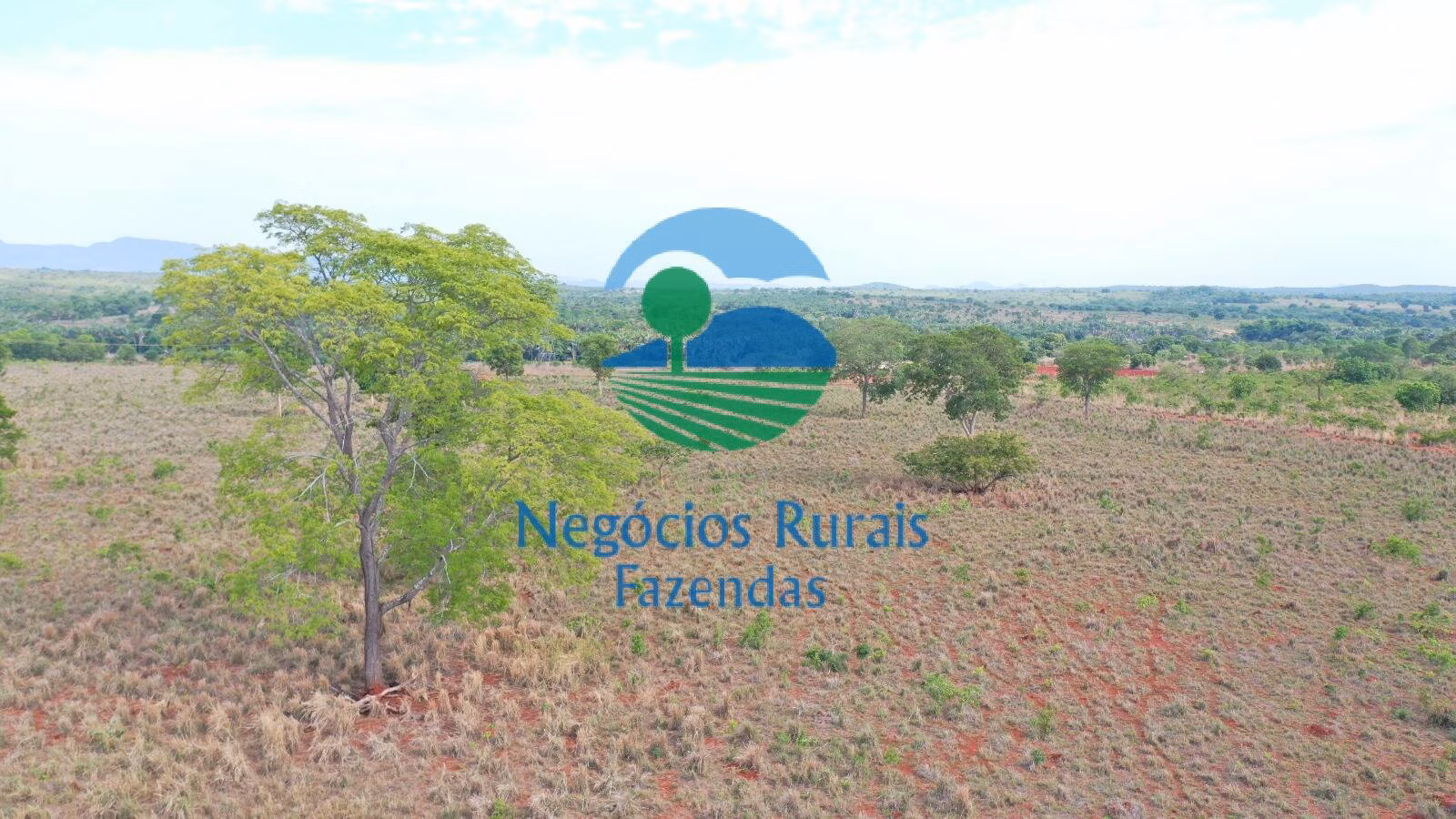 Fazenda de 290 ha em Palmeirópolis, TO