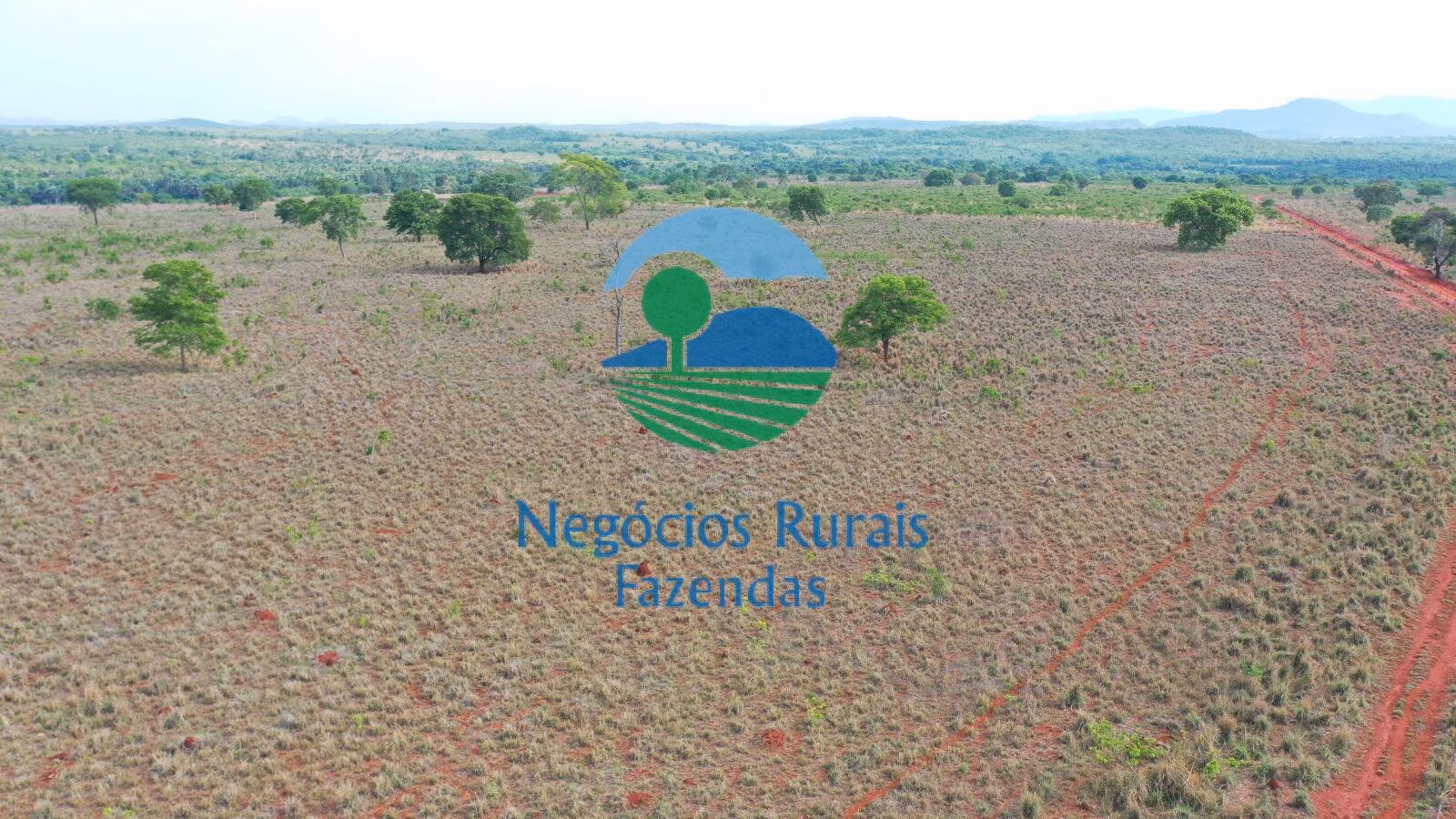 Fazenda de 290 ha em Palmeirópolis, TO