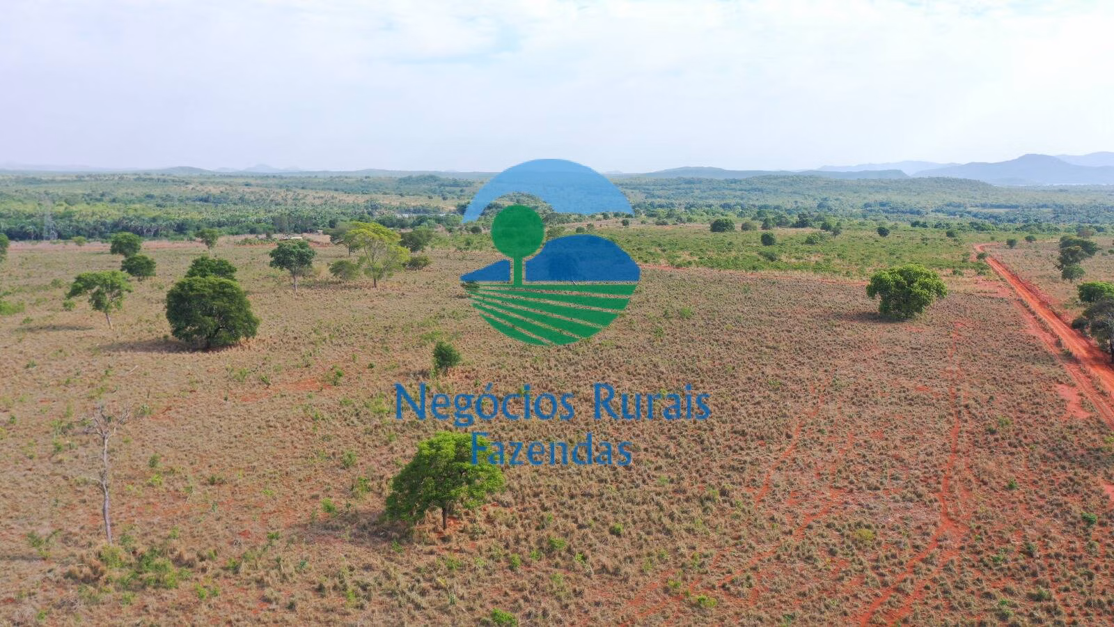 Fazenda de 290 ha em Palmeirópolis, TO