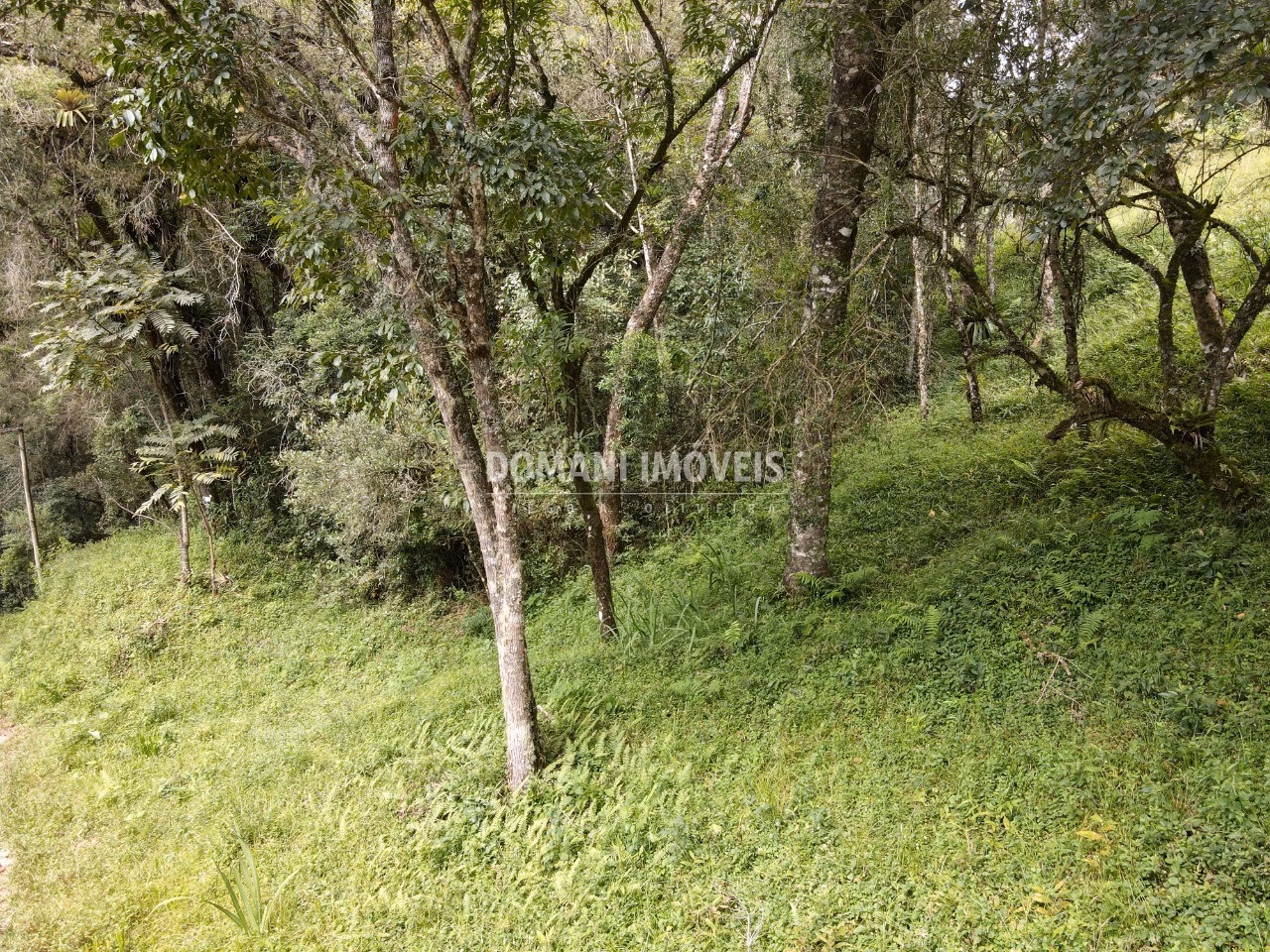 Plot of 1,270 m² in Campos do Jordão, SP, Brazil