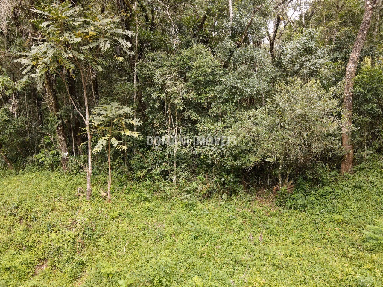 Plot of 1,270 m² in Campos do Jordão, SP, Brazil