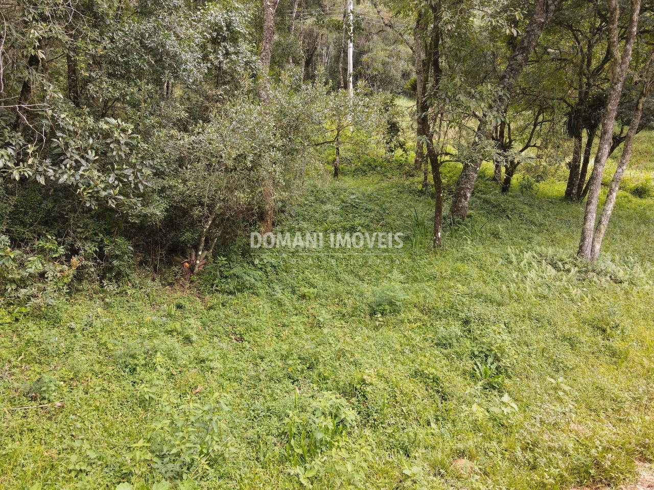 Plot of 1,270 m² in Campos do Jordão, SP, Brazil