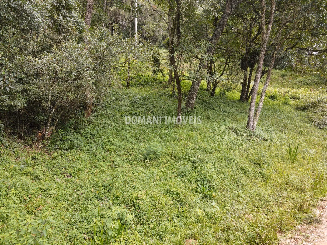 Plot of 1,270 m² in Campos do Jordão, SP, Brazil