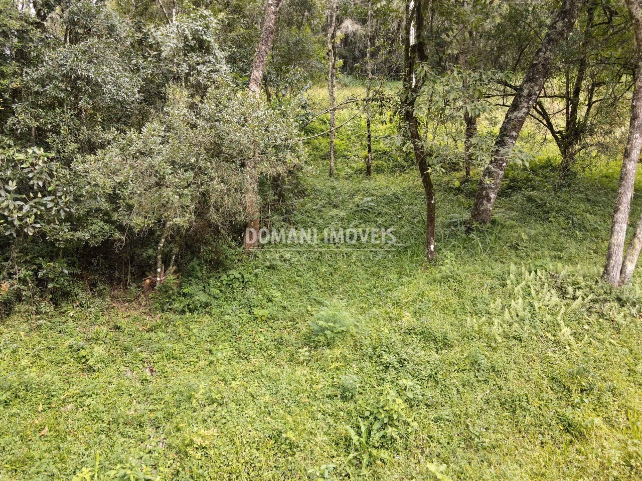 Plot of 1,270 m² in Campos do Jordão, SP, Brazil