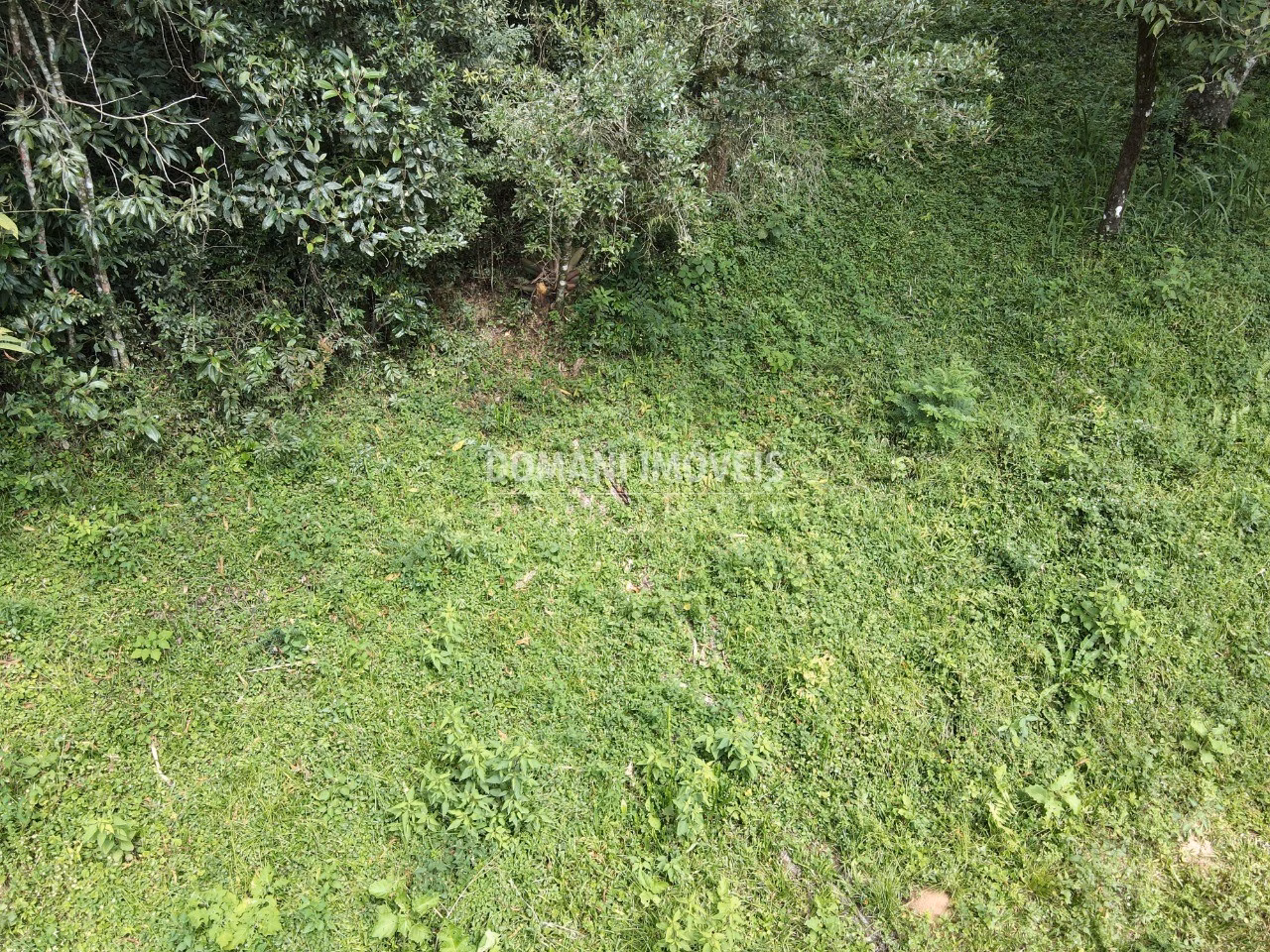 Plot of 1,270 m² in Campos do Jordão, SP, Brazil