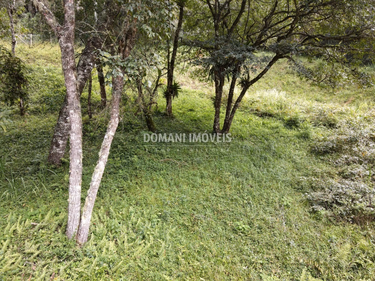 Plot of 1,270 m² in Campos do Jordão, SP, Brazil