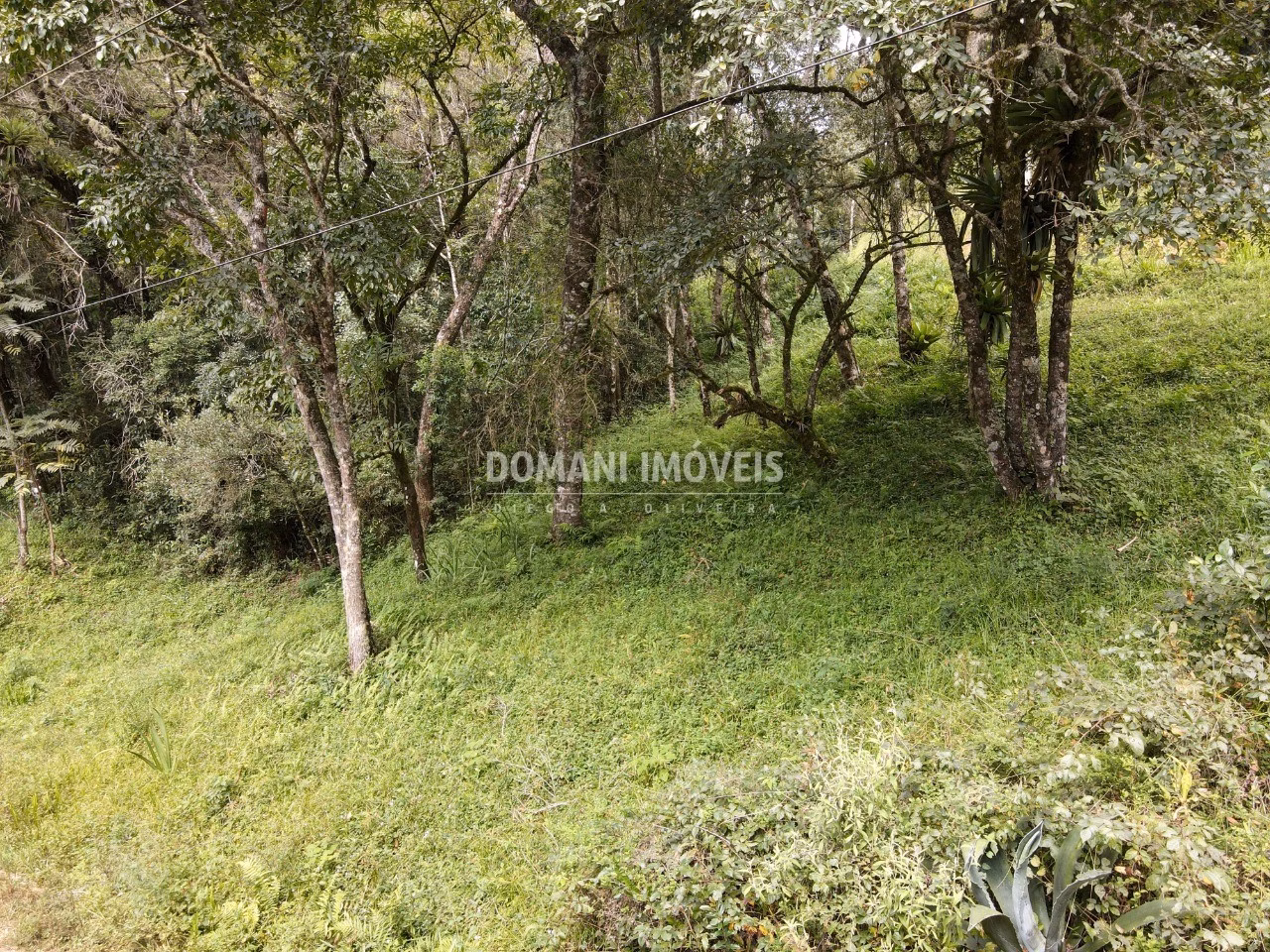 Plot of 1,270 m² in Campos do Jordão, SP, Brazil