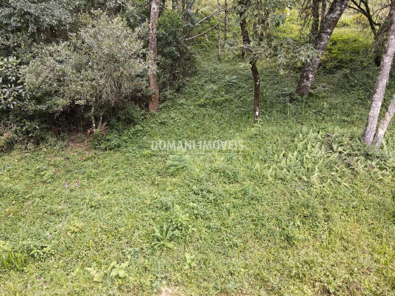Plot of 1,270 m² in Campos do Jordão, SP, Brazil