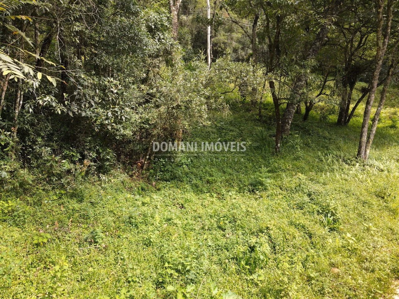 Plot of 1,270 m² in Campos do Jordão, SP, Brazil