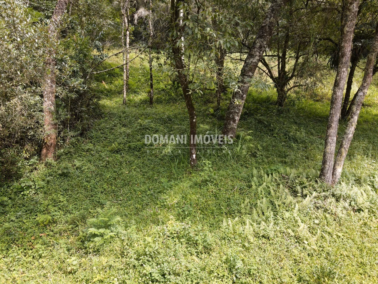Plot of 1,270 m² in Campos do Jordão, SP, Brazil