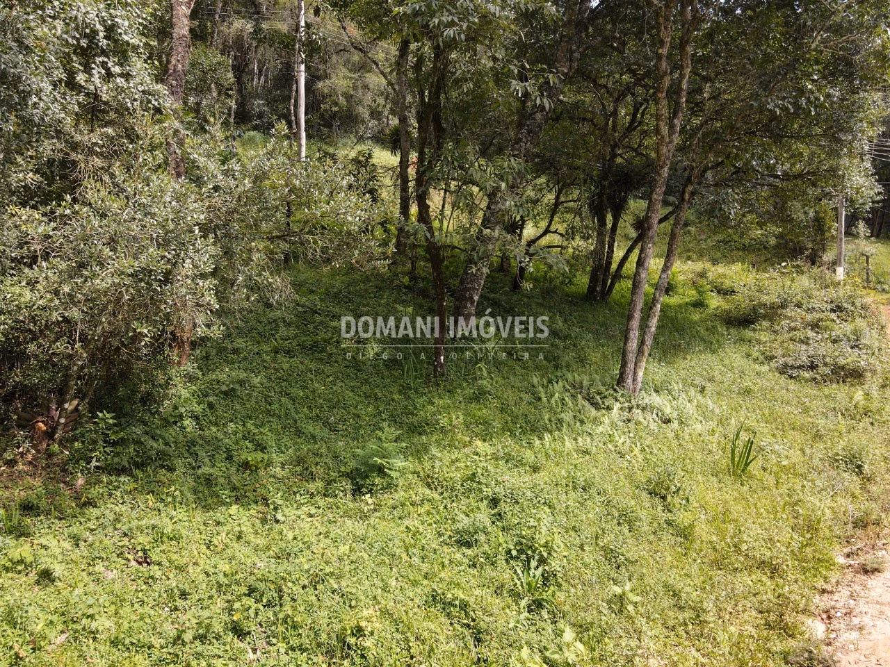 Terreno de 1.270 m² em Campos do Jordão, SP