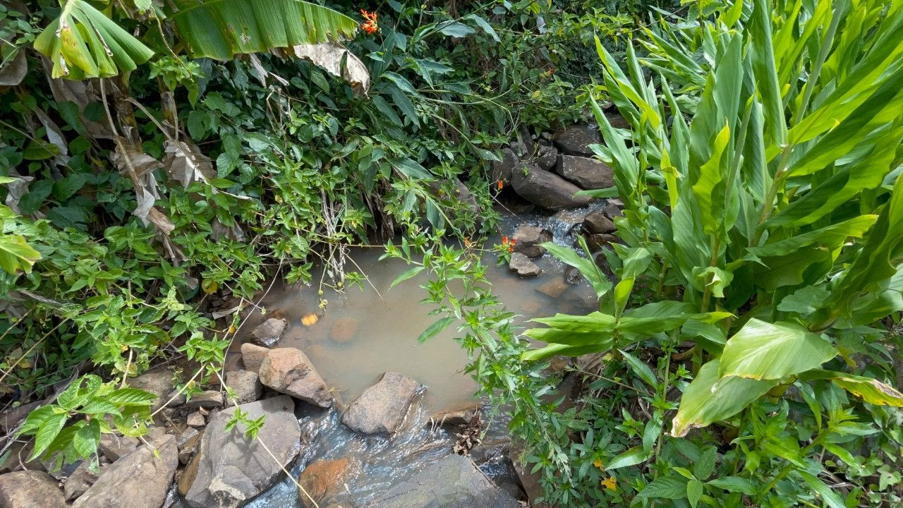 Chácara de 3.300 m² em Maquiné, RS