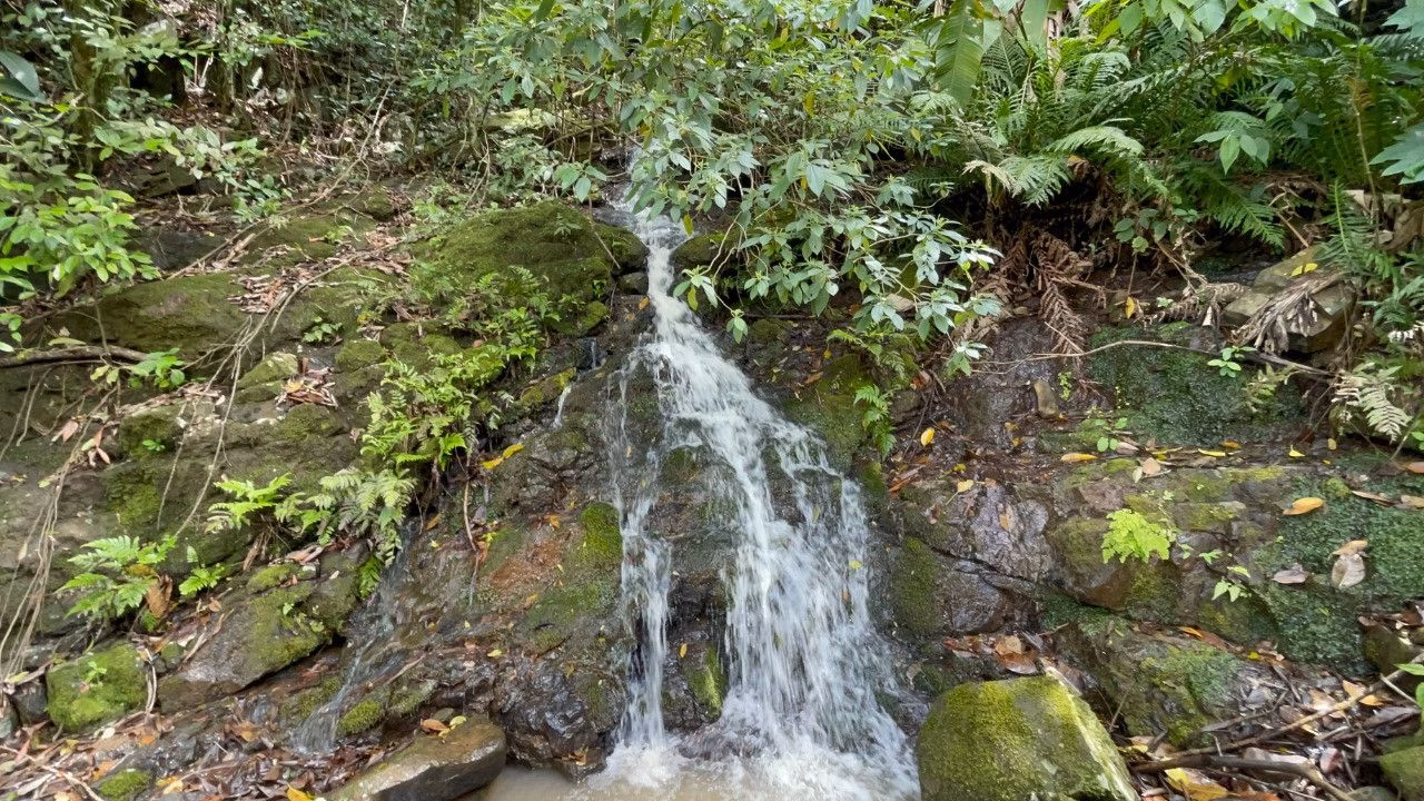 Chácara de 3.300 m² em Maquiné, RS