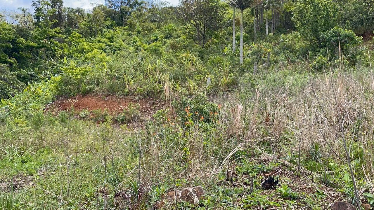 Chácara de 3.300 m² em Maquiné, RS