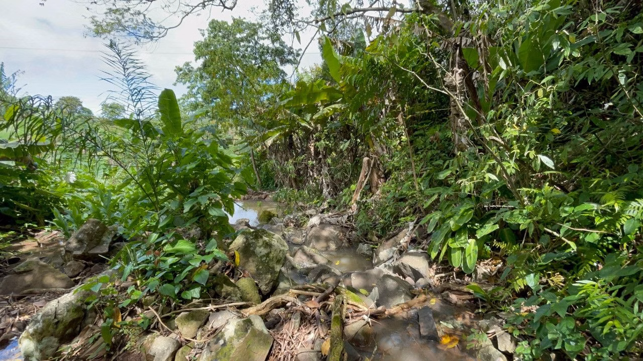 Chácara de 3.300 m² em Maquiné, RS