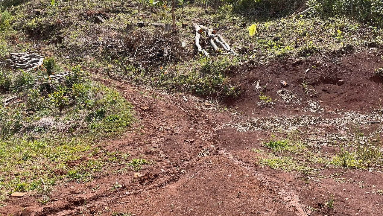 Chácara de 3.300 m² em Maquiné, RS