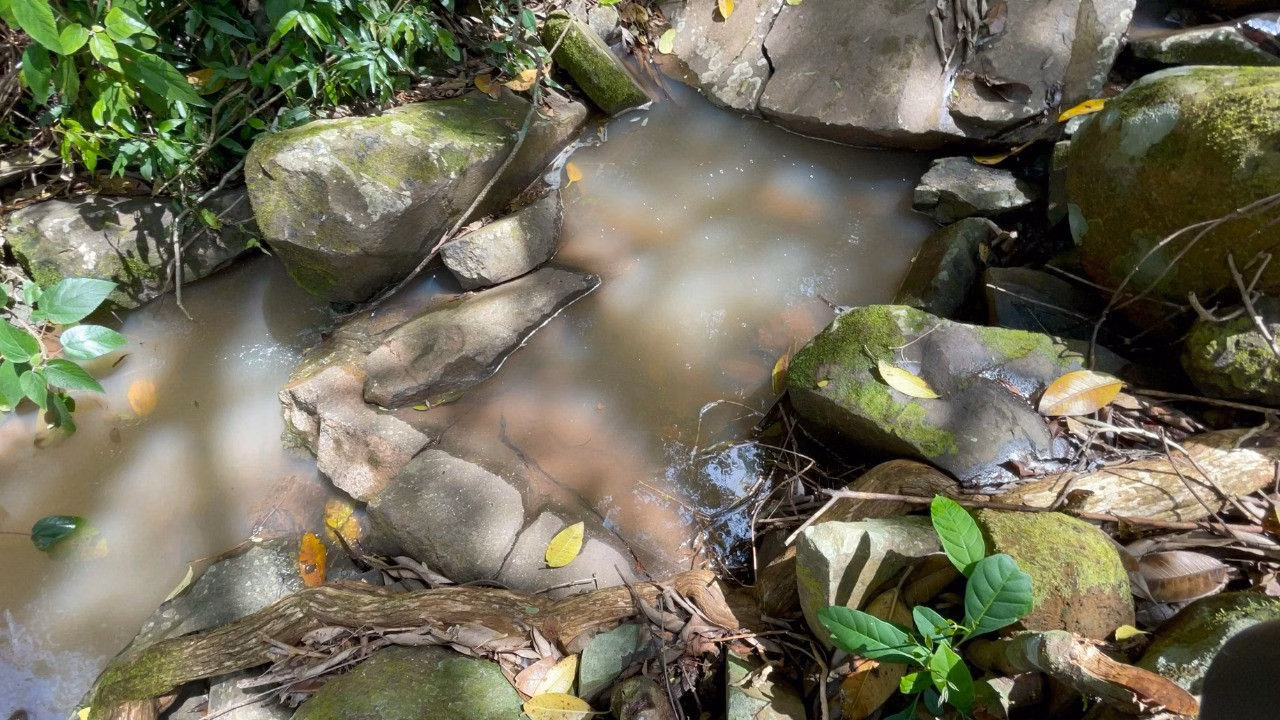 Chácara de 3.300 m² em Maquiné, RS
