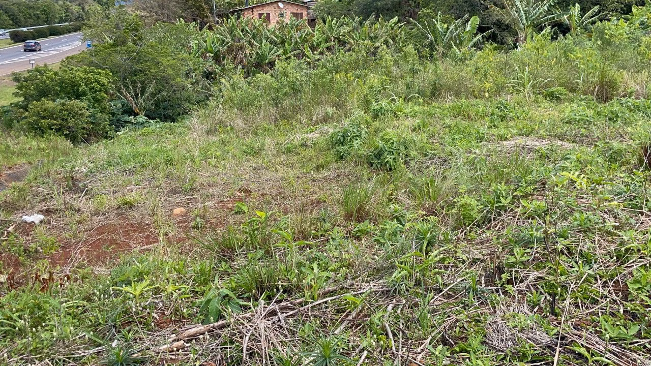 Chácara de 3.300 m² em Maquiné, RS