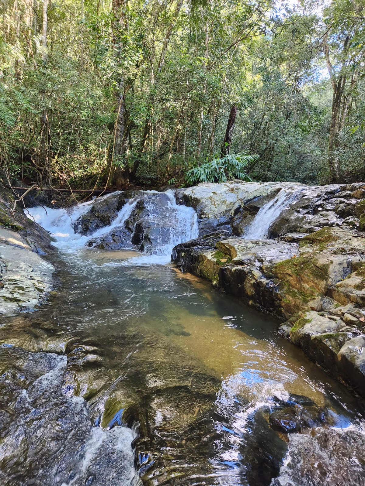 Kleiner Bauernhof zum Verkauf von 51 ha in Delfinópolis, MG