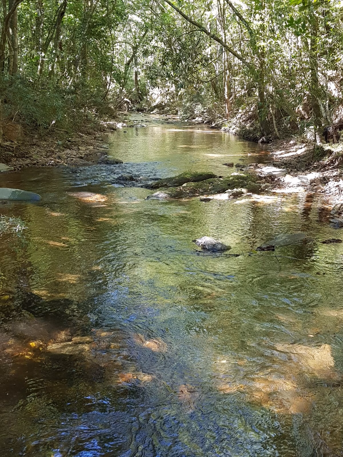 Kleiner Bauernhof zum Verkauf von 51 ha in Delfinópolis, MG