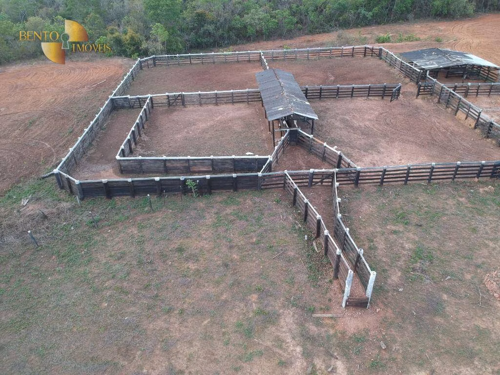 Fazenda de 1.610 ha em Alto Paraguai, MT
