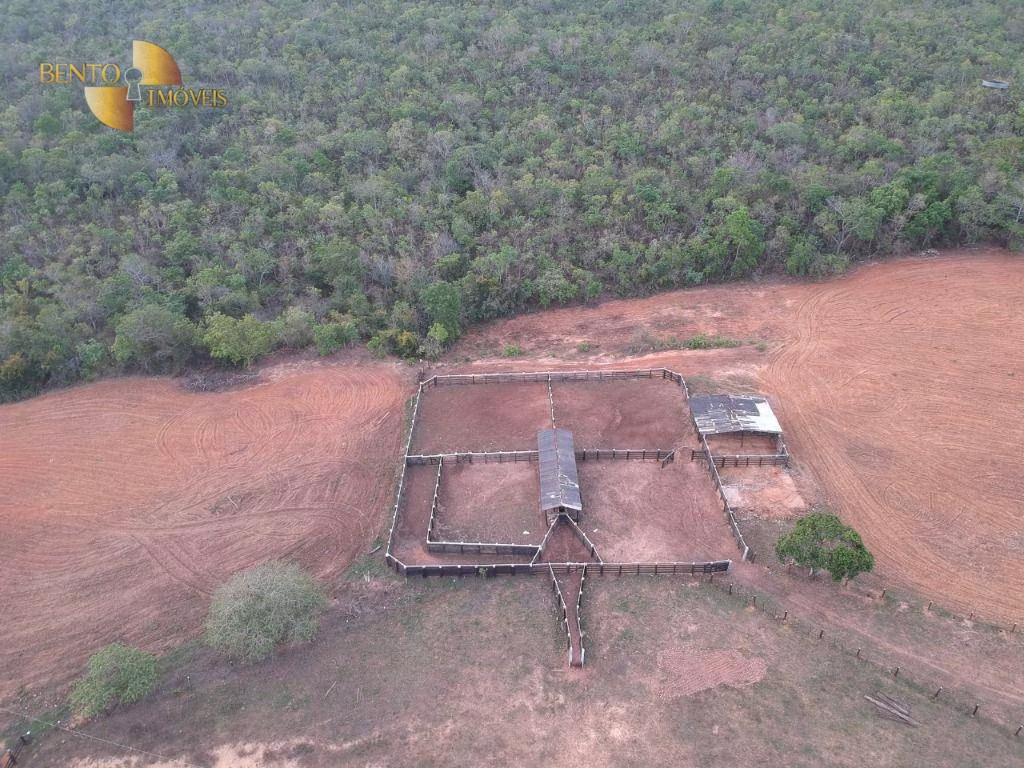 Fazenda de 1.610 ha em Alto Paraguai, MT