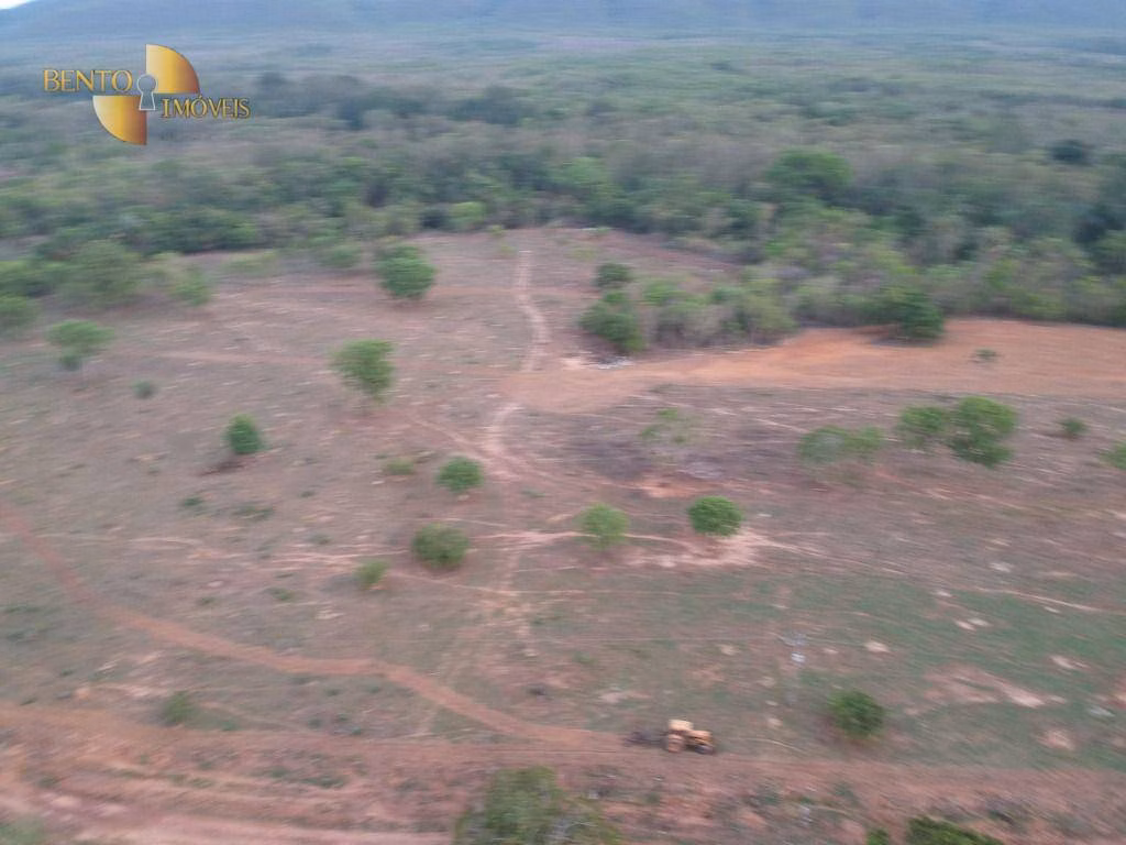 Fazenda de 1.610 ha em Alto Paraguai, MT