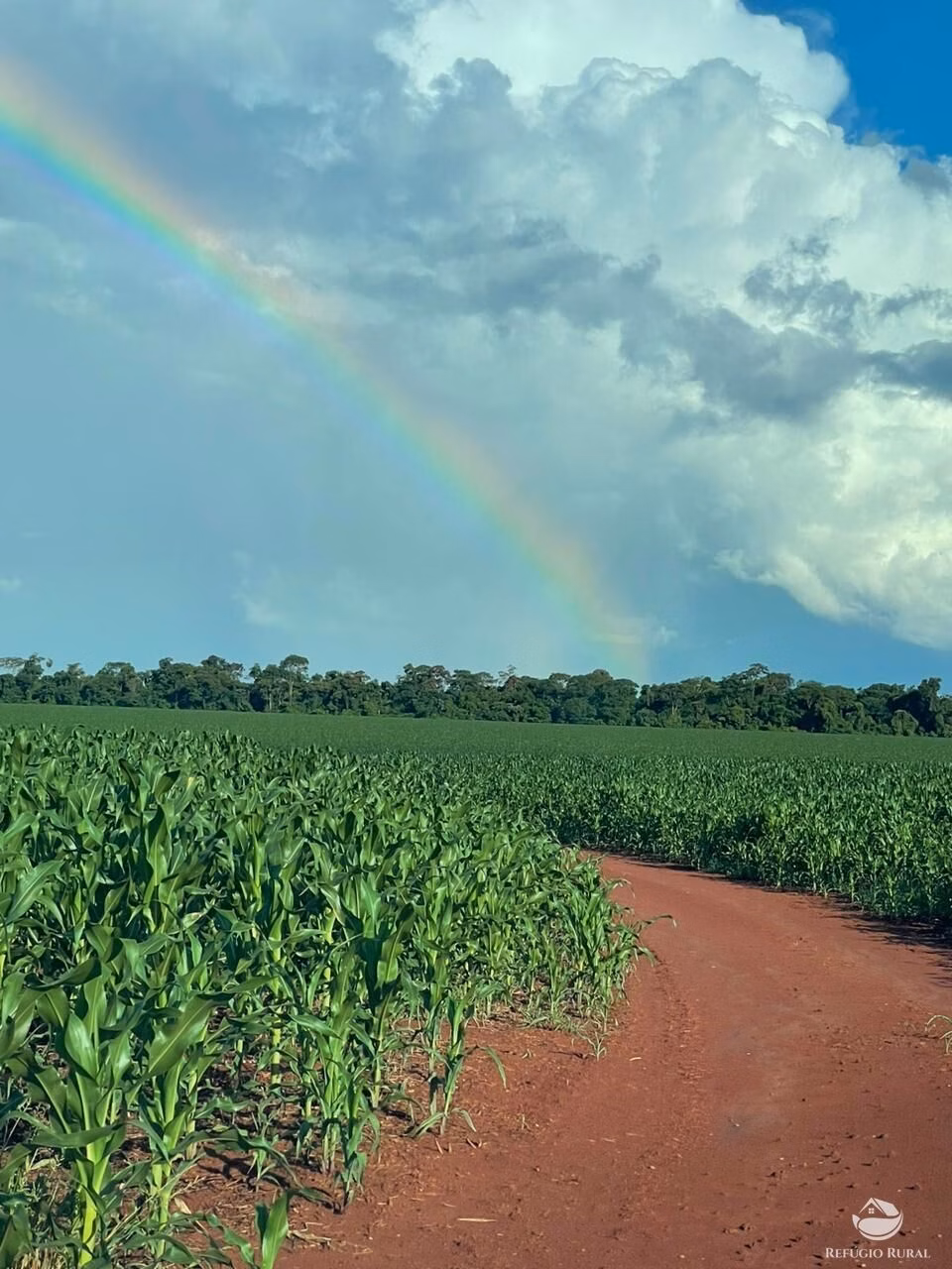 Farm of 4,596 acres in Sete Quedas, MS, Brazil