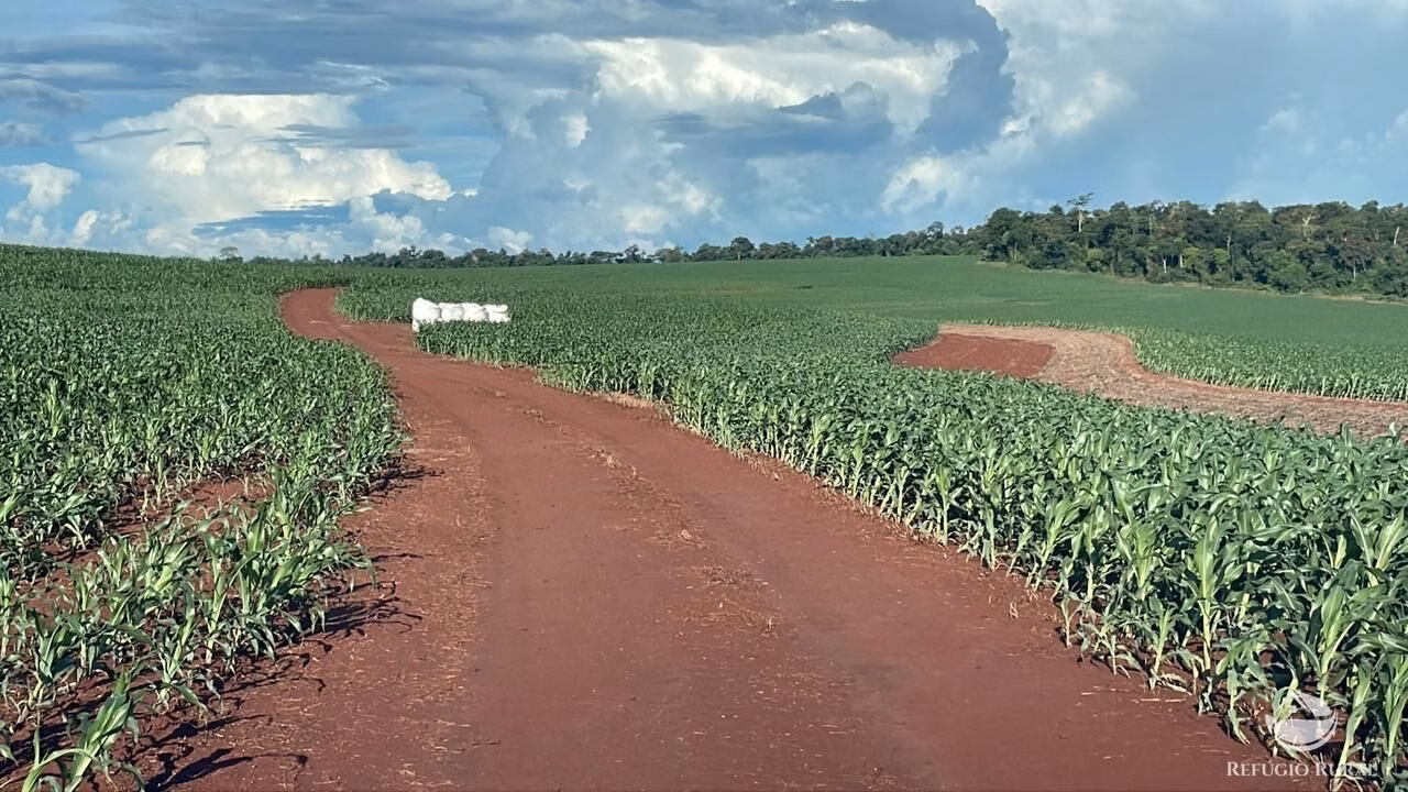 Farm of 4,596 acres in Sete Quedas, MS, Brazil