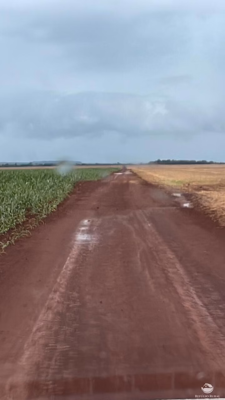 Farm of 4,596 acres in Sete Quedas, MS, Brazil