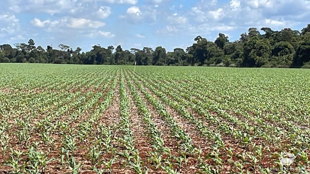 Farm of 4,596 acres in Sete Quedas, MS, Brazil