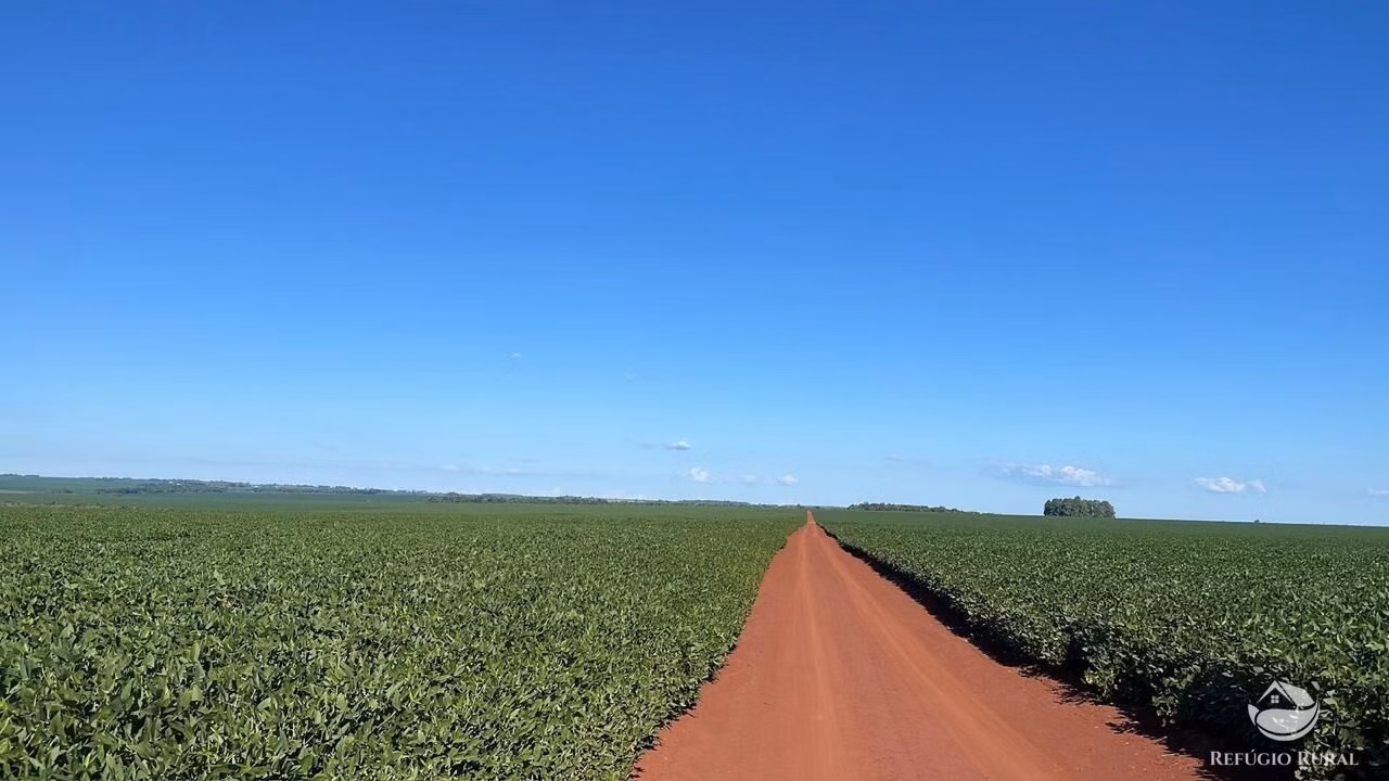 Farm of 4,596 acres in Sete Quedas, MS, Brazil