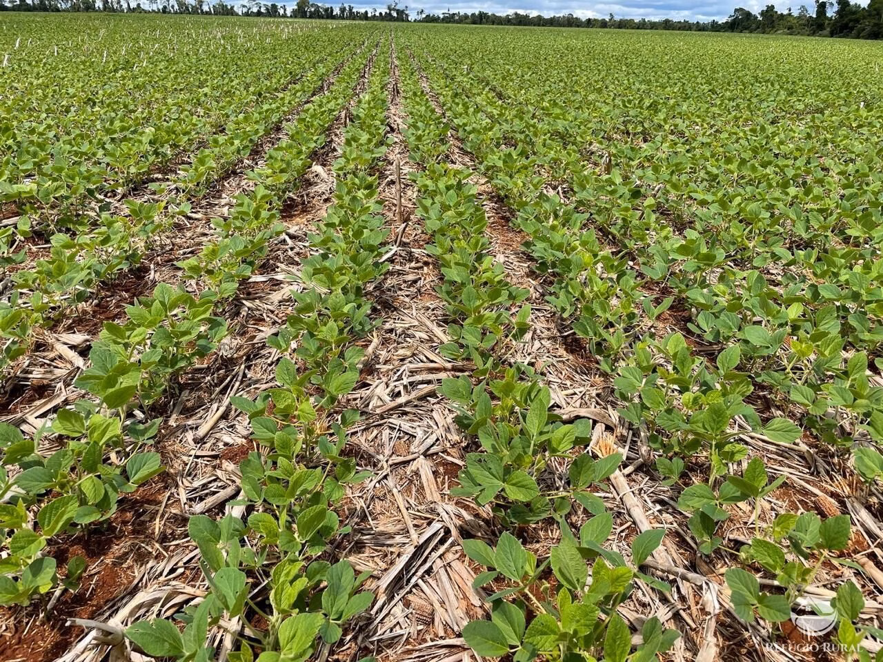 Farm of 4,596 acres in Sete Quedas, MS, Brazil