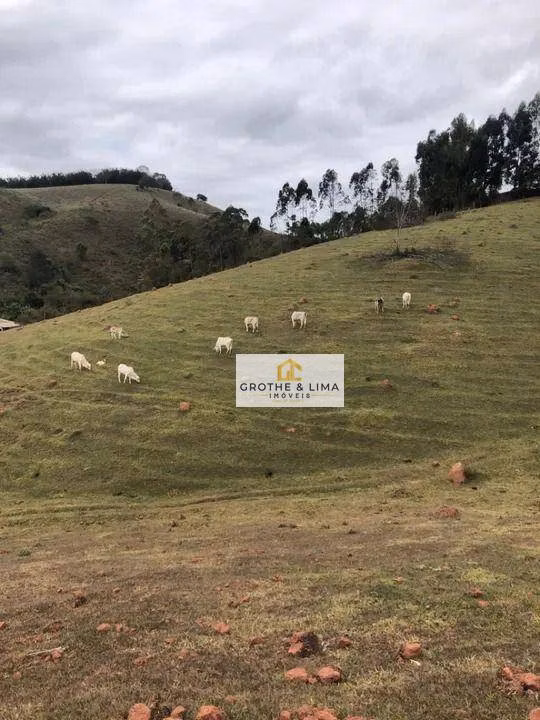 Small farm of 51 acres in Taubaté, SP, Brazil